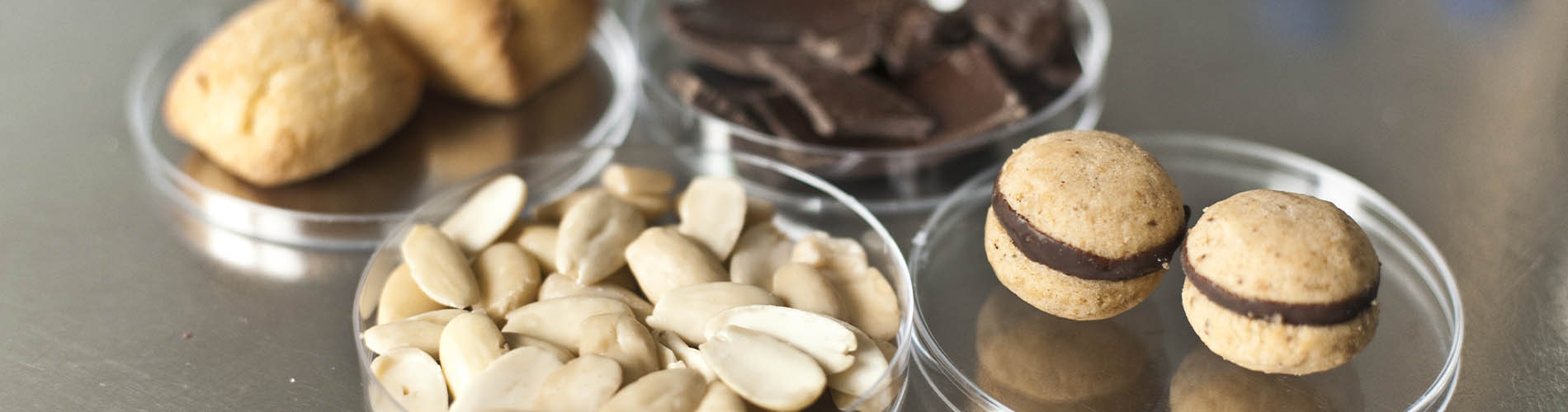 Analisi Alimentari alla Sinergo